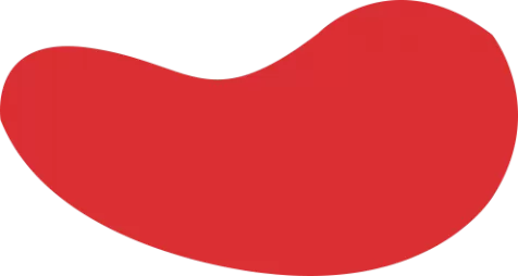 欢迎来到鲤鱼加速器官網｜鲤鱼加速器